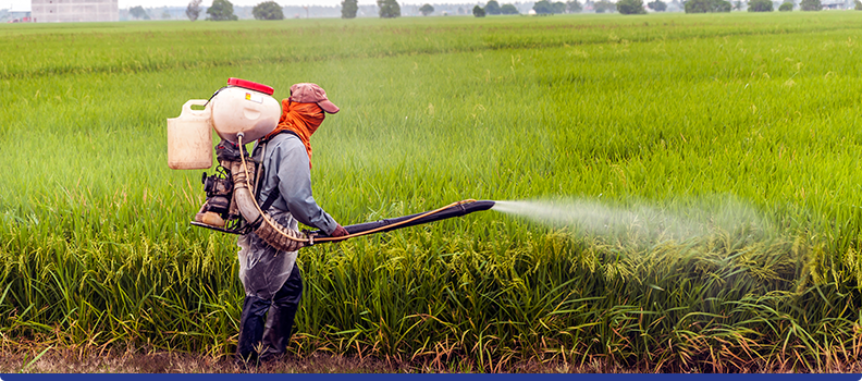 Principais Riscos relacionados ao trabalho rural