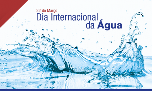 Dia Internacional da Água – 5 dicas para um consumo consciente.